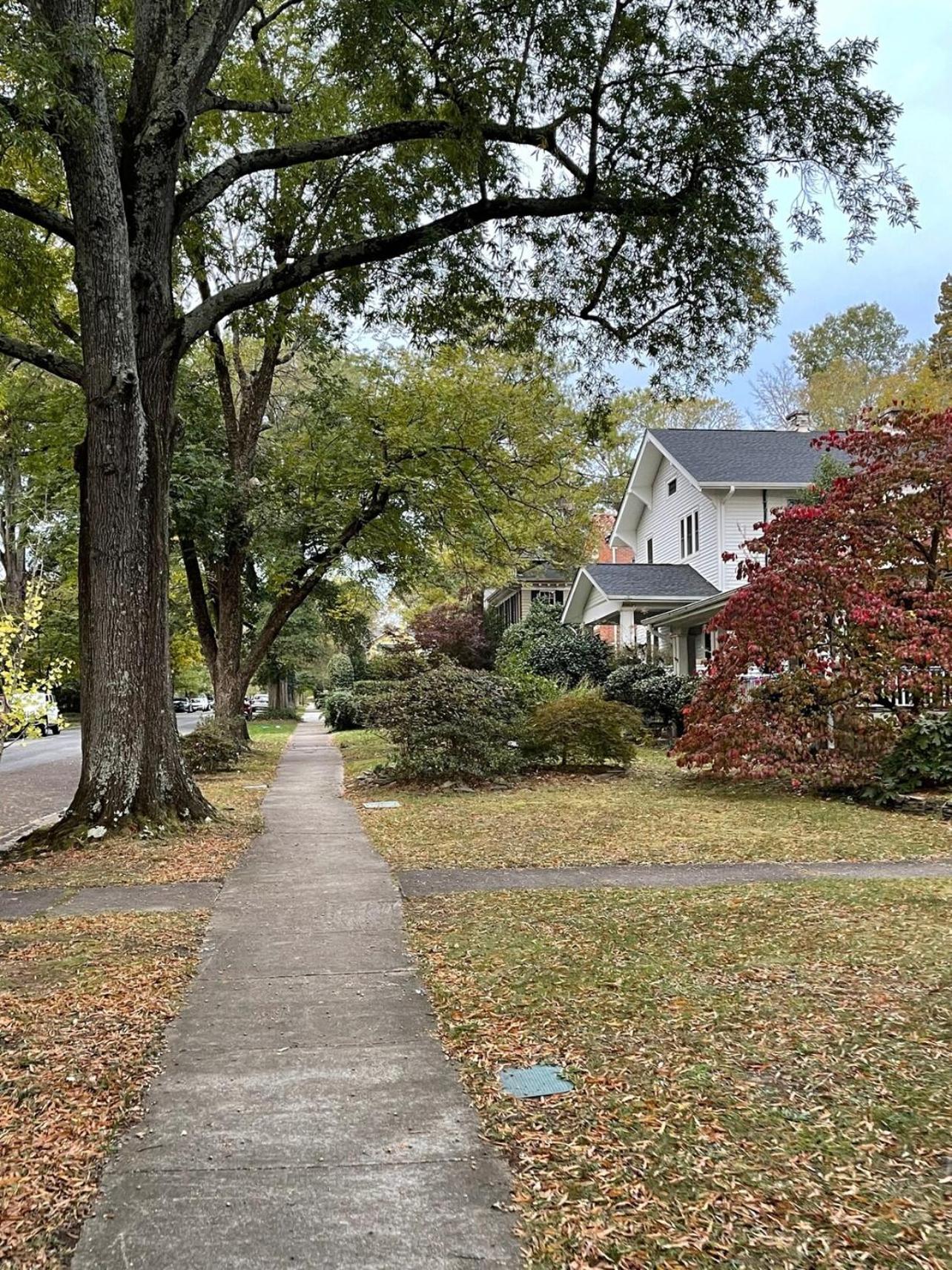 Walk To Duke Campus! 3 Bedroom In Trinity Park! Durham Eksteriør bilde